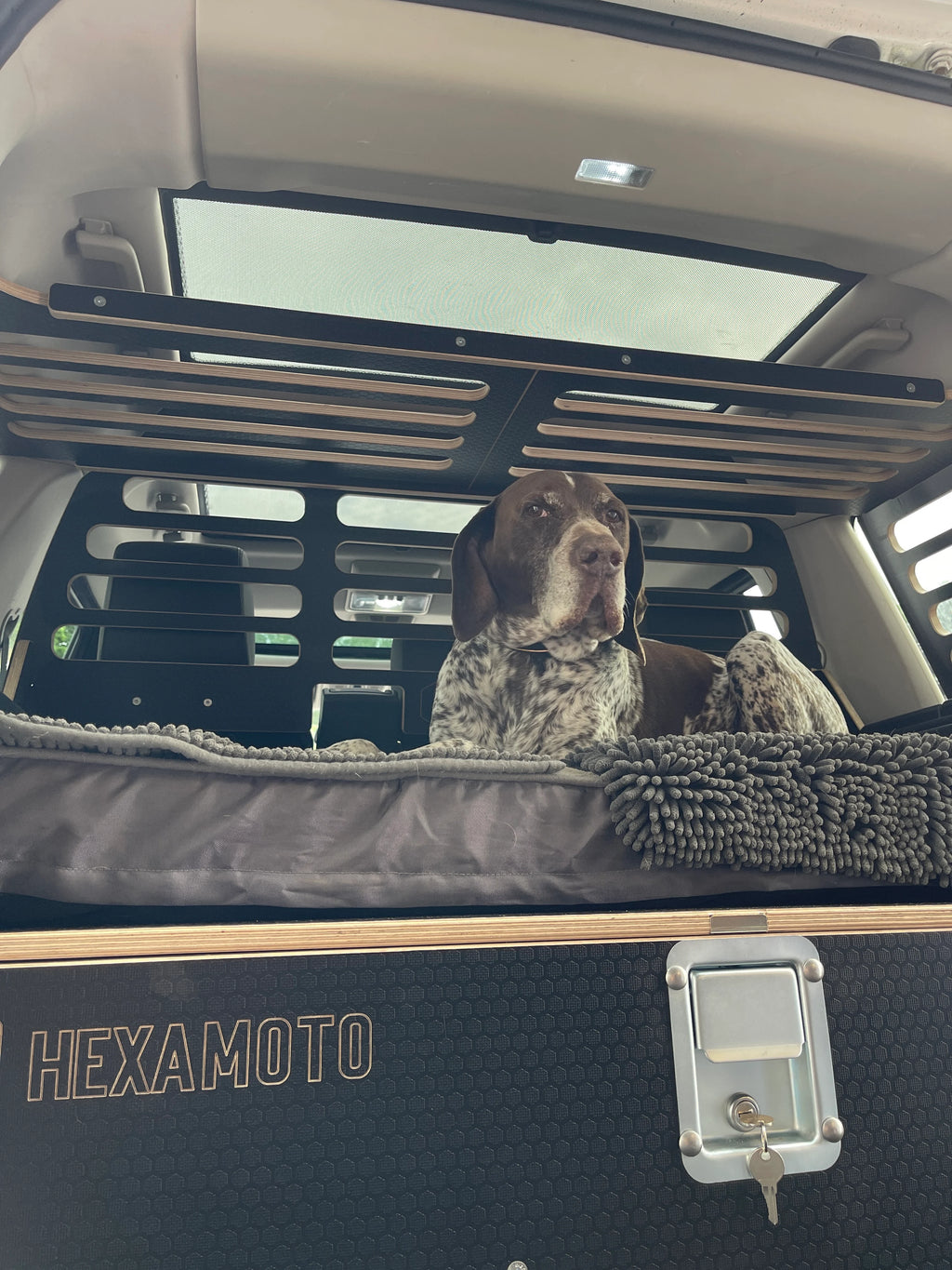 Dog sitting in a car with a HEXAMOTO storage system and overhead Cargo storage with Dog Guard partition