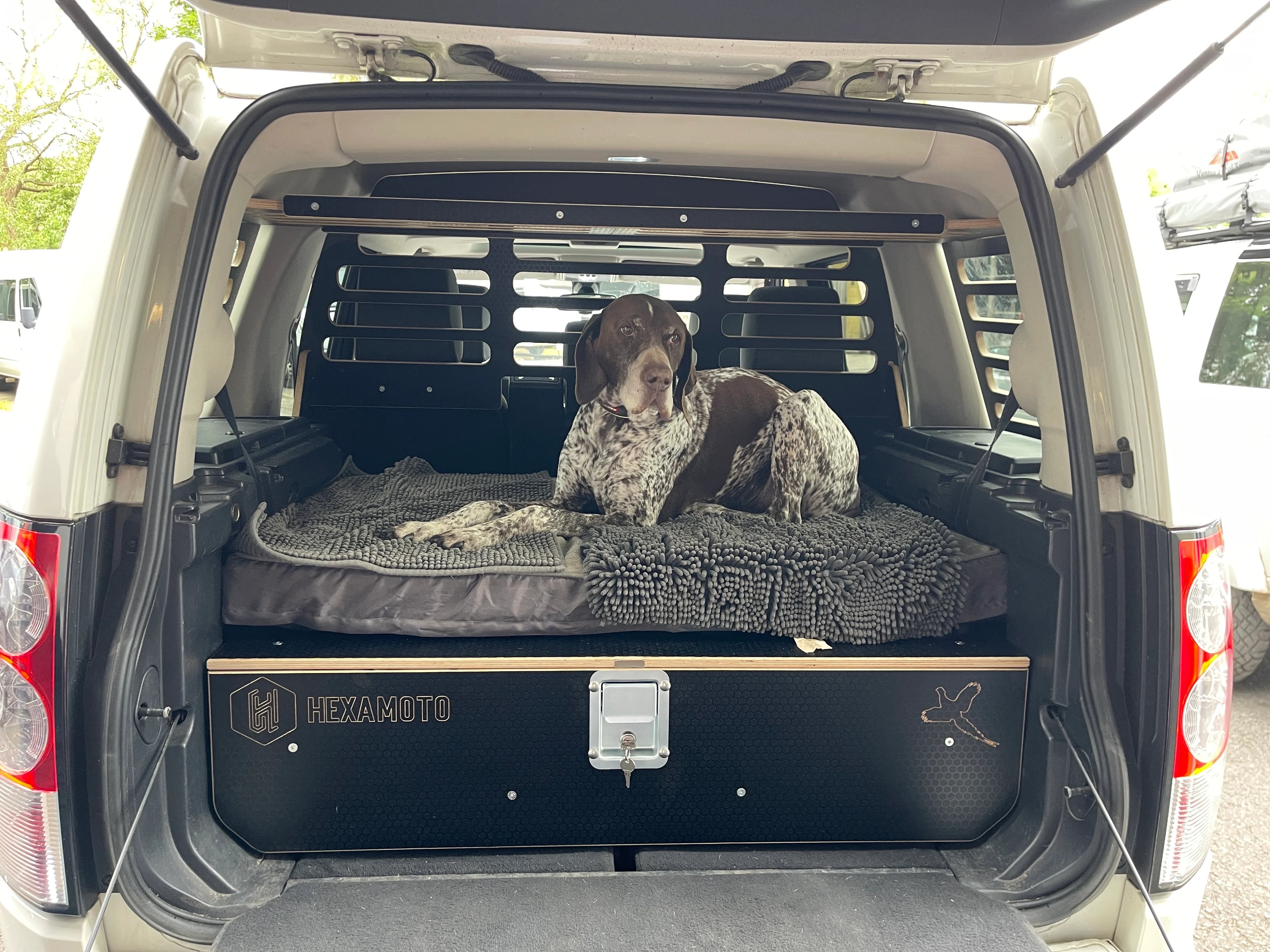 Dog lying on a pet bed in the back of a vehicle with a Hexamoto Explorer product visible and Overhead Cargo Storage with Hexamoto Dog Guard