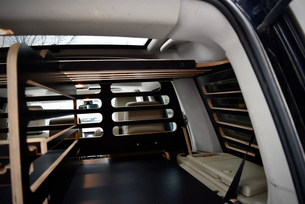 Car interior with a cargo overhead storage section