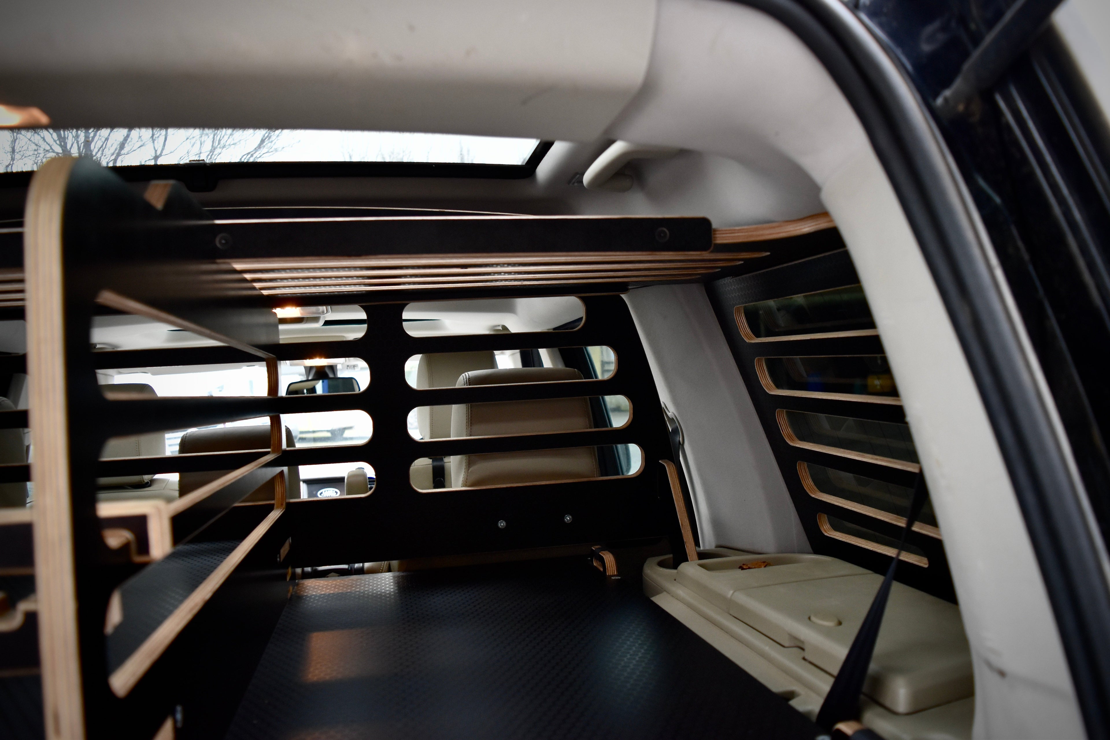 Car interior with a cargo overhead storage section