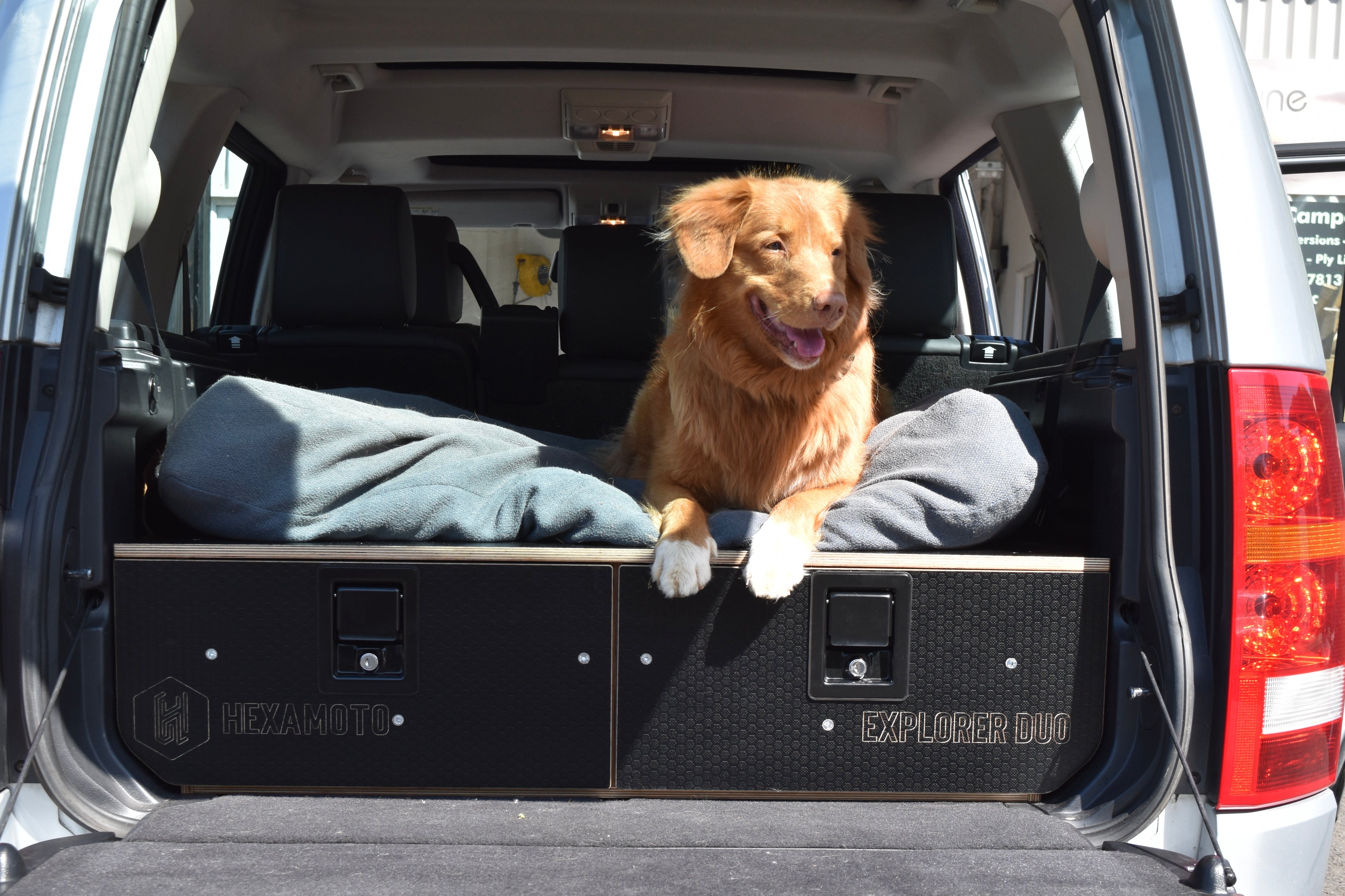 Dog sitting in a vehicle with a 'Explorer Duo' and pet bed.