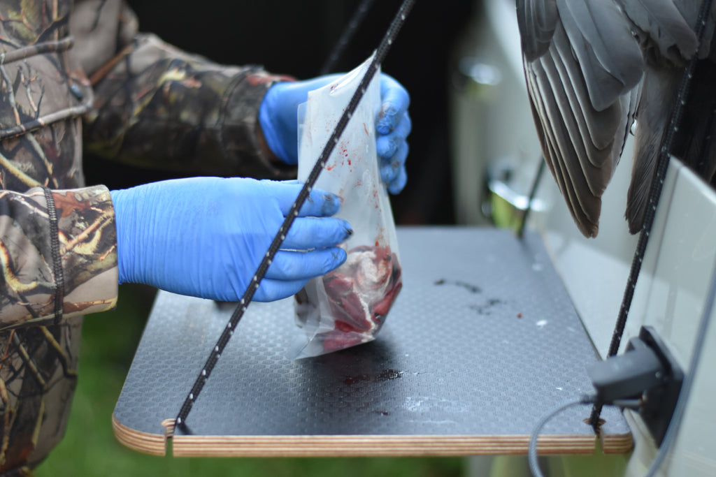 Person in camouflage jacket and blue gloves handling a bag of meat on a table outdoors.