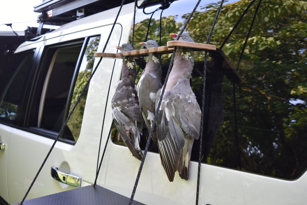 Three dead Pigeons hanging from a wooden hanger on a vehicle with a forest reflection in the vehicle window